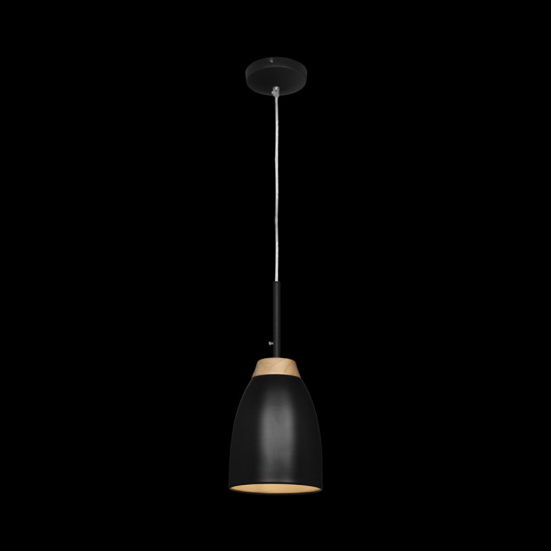 Подвесной светильник Loft IT Restor Loft4402A-BL, черный