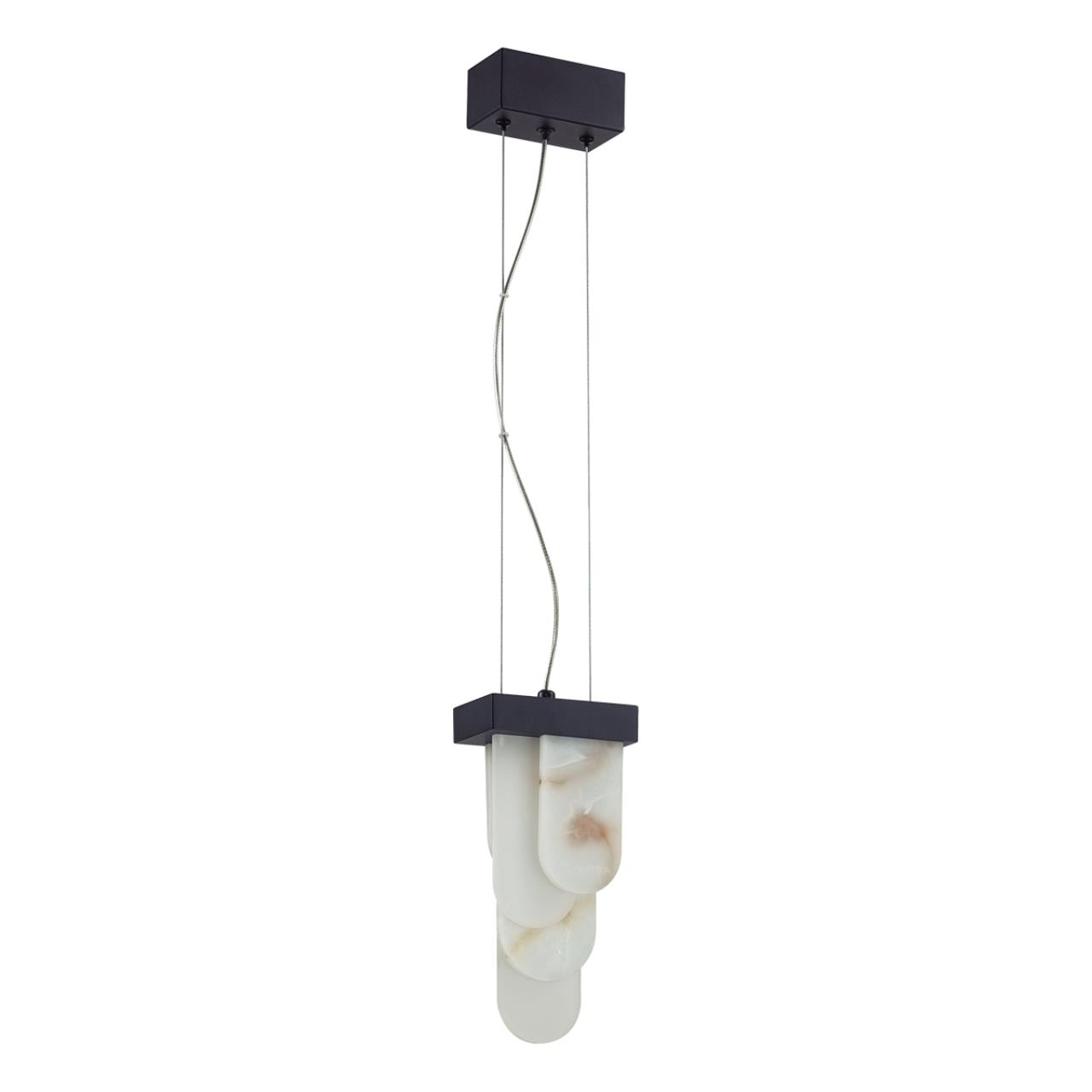 Подвес 1*LED*12W, 3000К, 1489lm Odeon Light Foros 5438/12L, черный