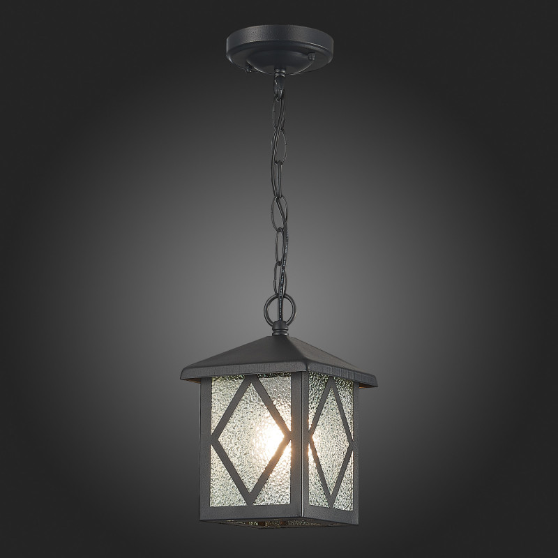 Светильник уличный подвесной 20*14 см, ST LUCE LORNE SL084.403.01 Черный