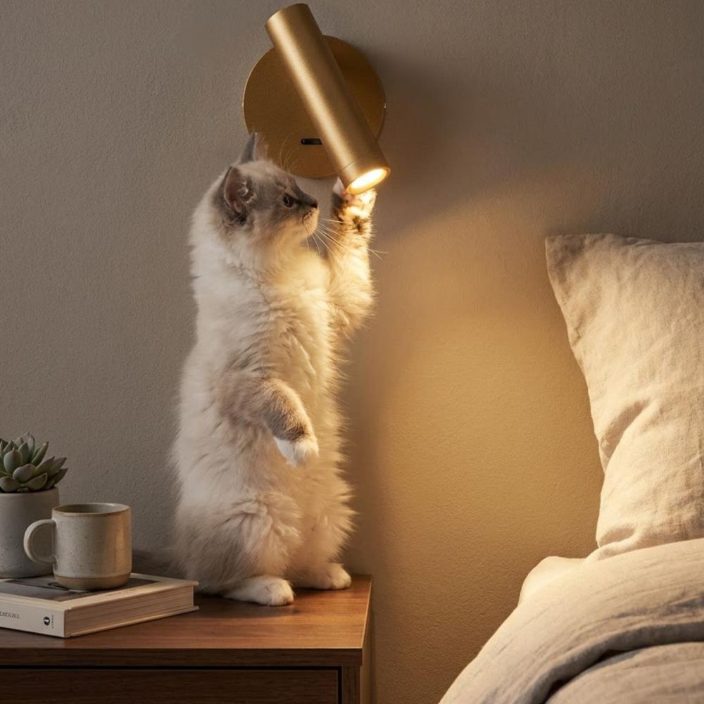 Светильник 11 см, 3W, 3000K, Citilux DEKART CL704102, золото