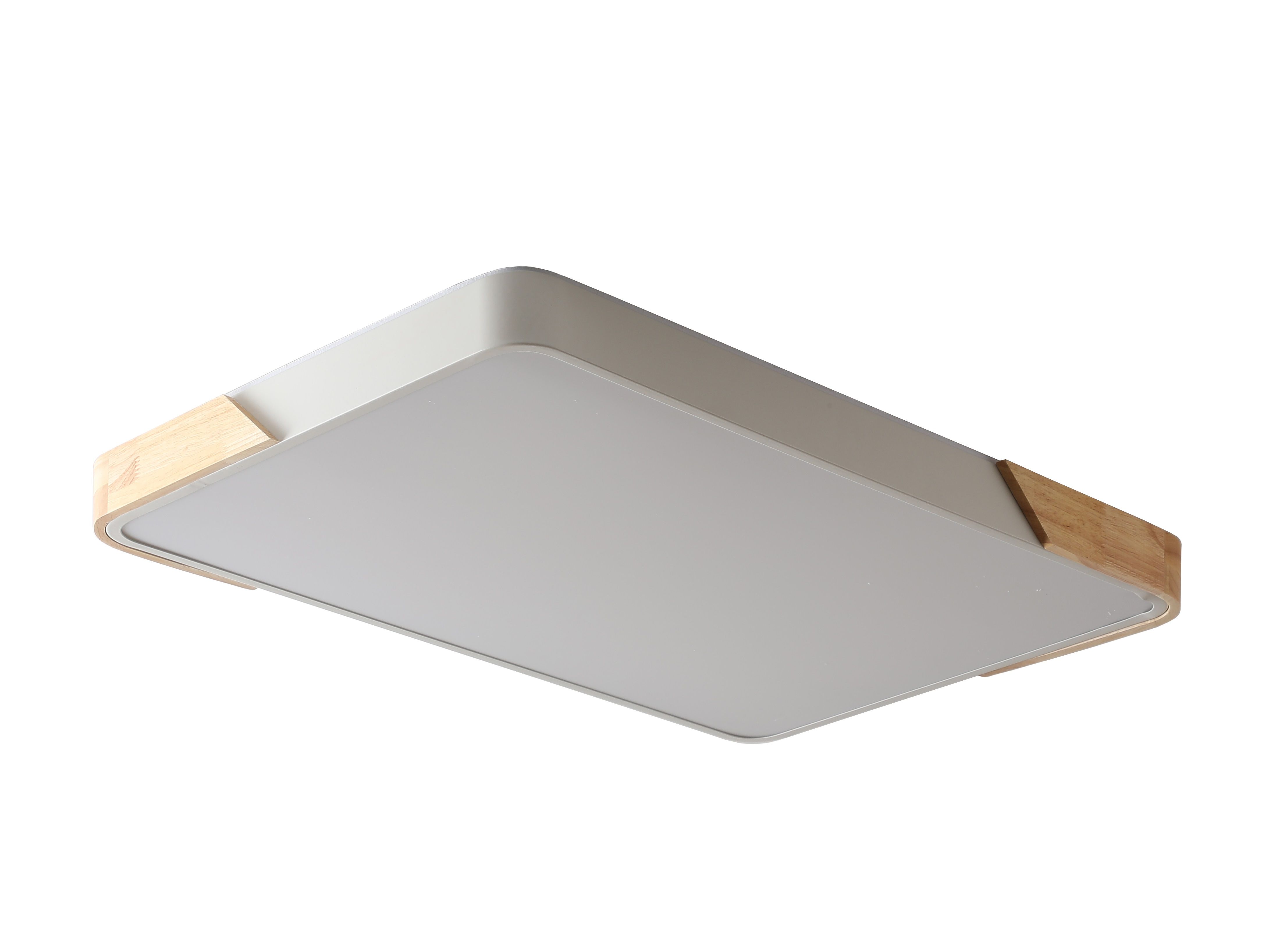 Светильник 65*42*5 см, LED 60W 4000K белый Zortes Alberro ZRS.01233.60
