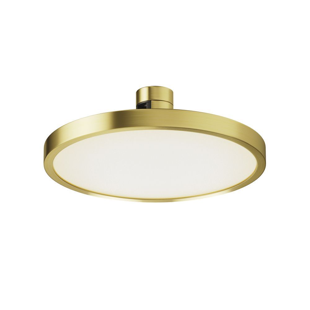 Трековый светильник Plato Flarity 4000K 10Вт 120°, 5,4 см, LED*10W, Maytoni TR153-1-10W4K-BS, Латунь