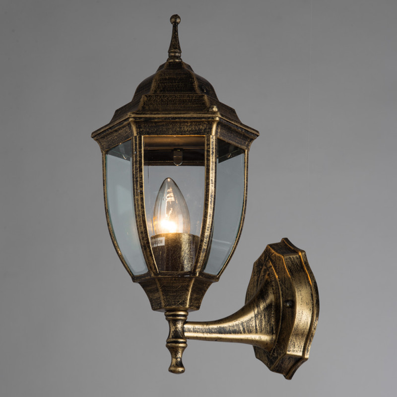 Настенный уличный светильник Arte Lamp Pegasus A3151AL-1BN, черно-золотой