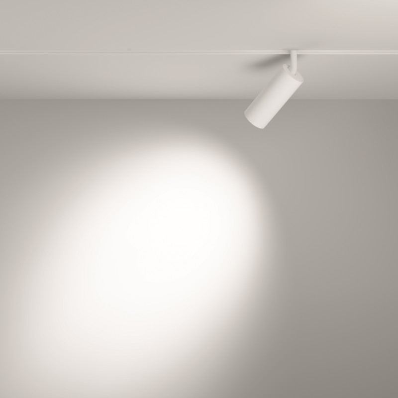 Светильник 5 см, 12W, 3000K-6000K Maytoni Technical Focus Exility LED TR032-4-12W3K-S-DS-W белый, 36°, Dim Exility