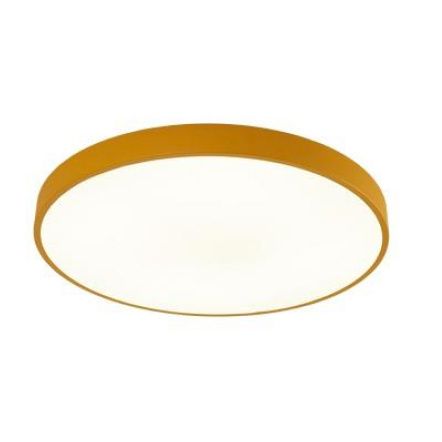 Светодиодный светильник 60 см, 60W Arte Lamp A2661PL-1YL, белый-желтый 2700К