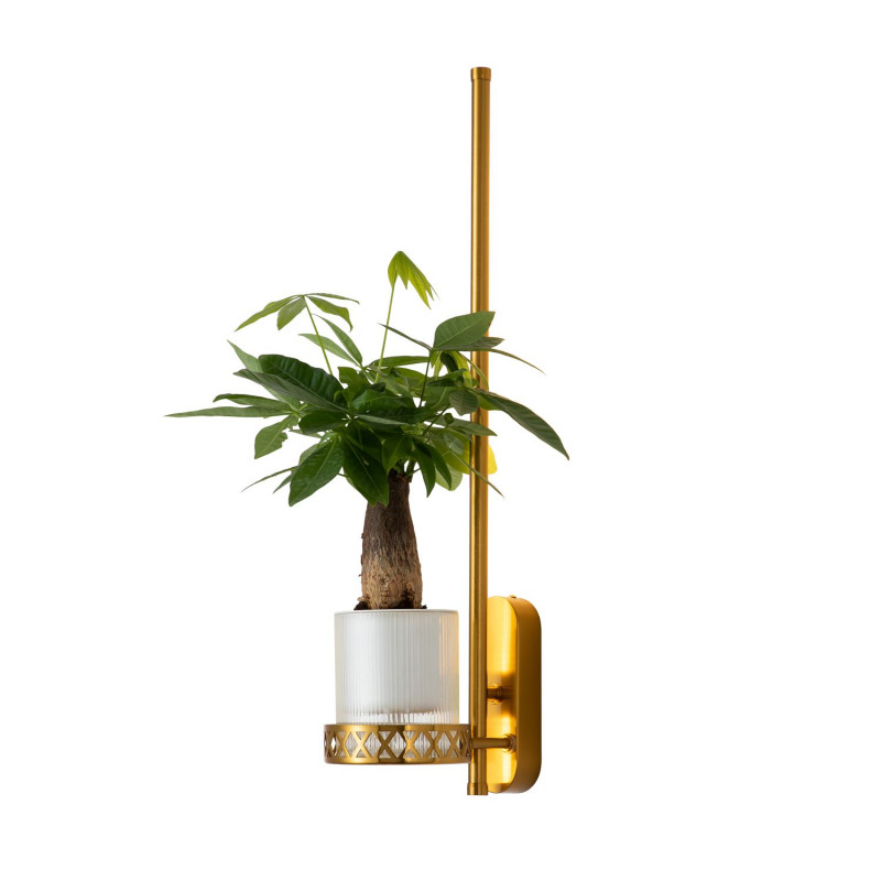Бра Favourite Greenery 4050-1W, D210*W120*H600, светильник с подставкой для кашпо, золотой латуни, рассеиватель из белого акрила, кашпо входит в комплект