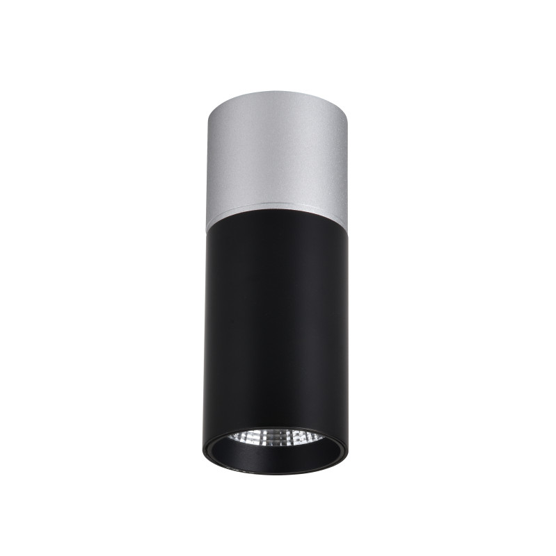 Светильник 5*5 см, LED 5W, 4000K Favourite Deepak 3072-1C, D50*H139, Светильник, каркас сочетает в себе два цвета - серебро и матовый черный