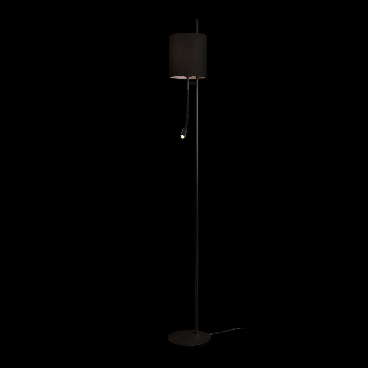 Торшер 20*176 см, 2*E27+LED*1X40W + 1X3W 3200K LOFT IT Ritz 10253F/B Black черный