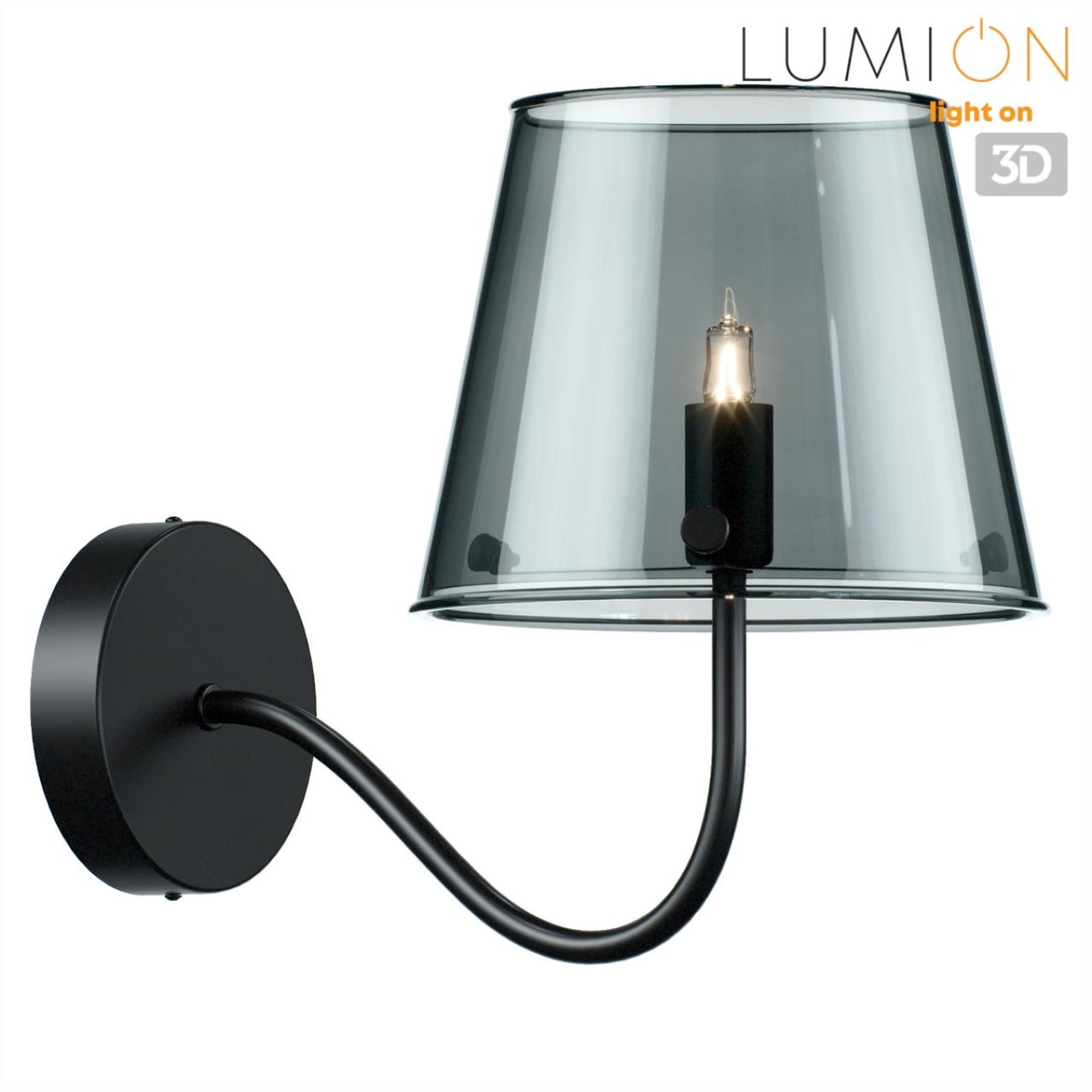 Бра 25*15*20 см, 1*G9*20W Lumion Smoky 6570/1W черный