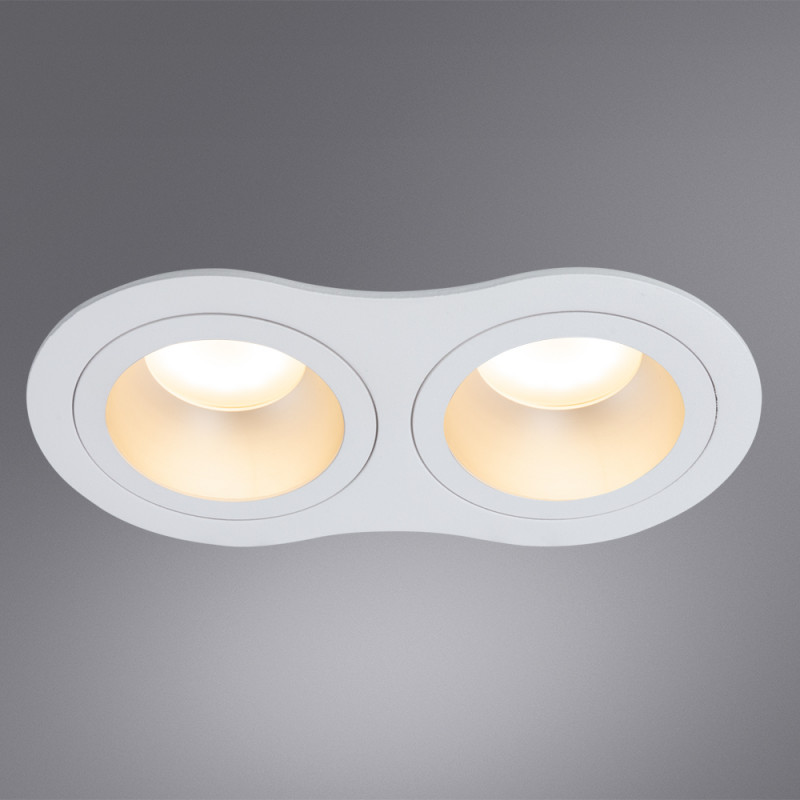 Встраиваемый светильник Arte Lamp ALKES A2161PL-2WH белый
