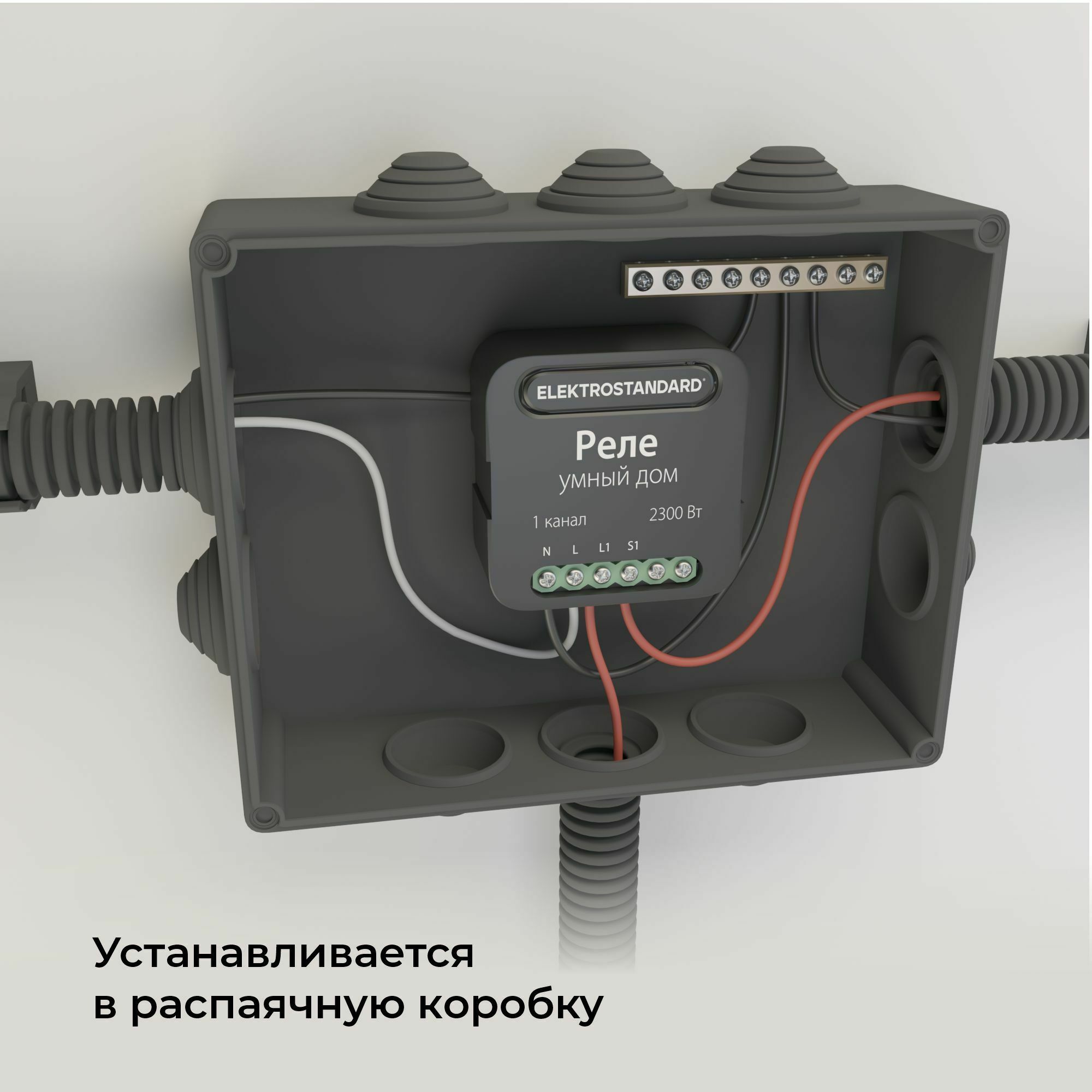 Умное одноканальное реле 76006/00 Elektrostandard