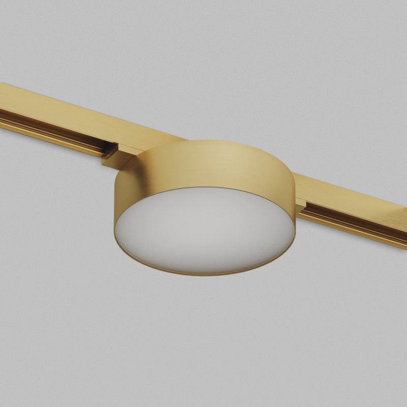 Светильник на шине 15,5*9,5*7,5 см, *LED*680Lm, 3000-4000-6000K, Denkirs Shine Flow Zigbee DK5962-SB, сатинированная латунь