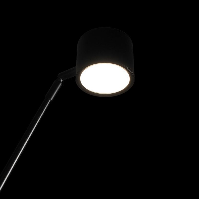 Торшер *40*-200 см, 1*LED*5W, 3000K, LOFT IT Sampei 10374/2000, черный