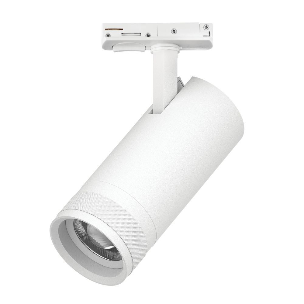 Светильник BARRA с тонким адаптером *7,2*17 см, *20W, 2700-4200-6000K, Lightstar Canno Pro C4206SS, Белый