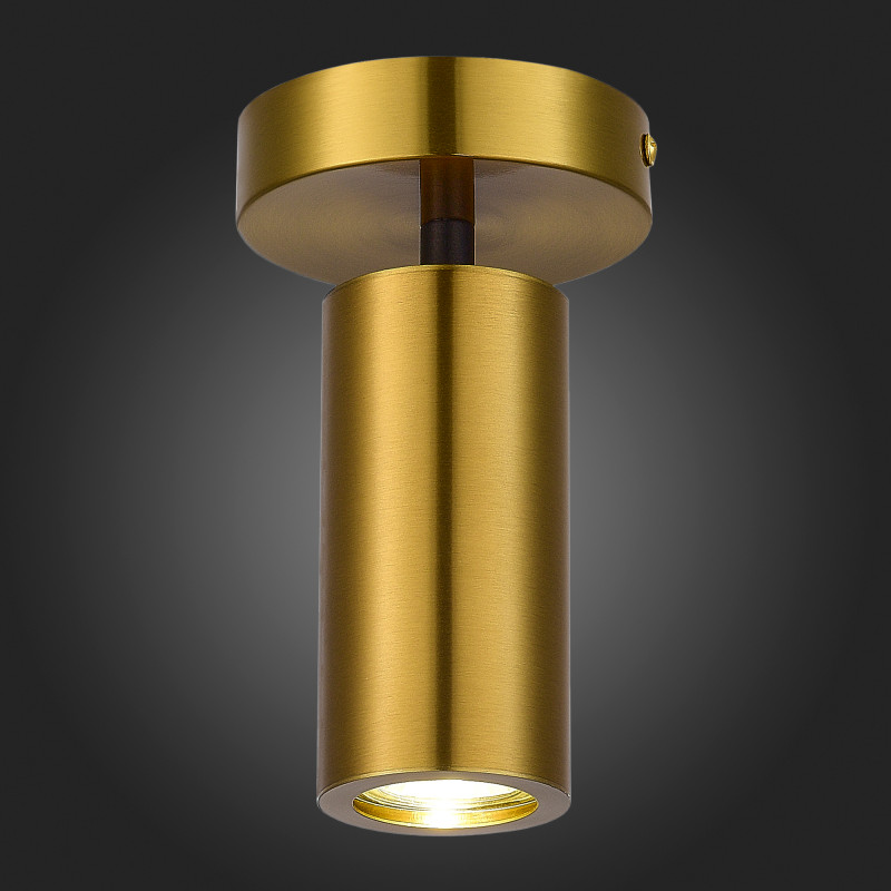 Светильник 10 см ST LUCE TALIA SL1215.402.01 Черный/Латунь