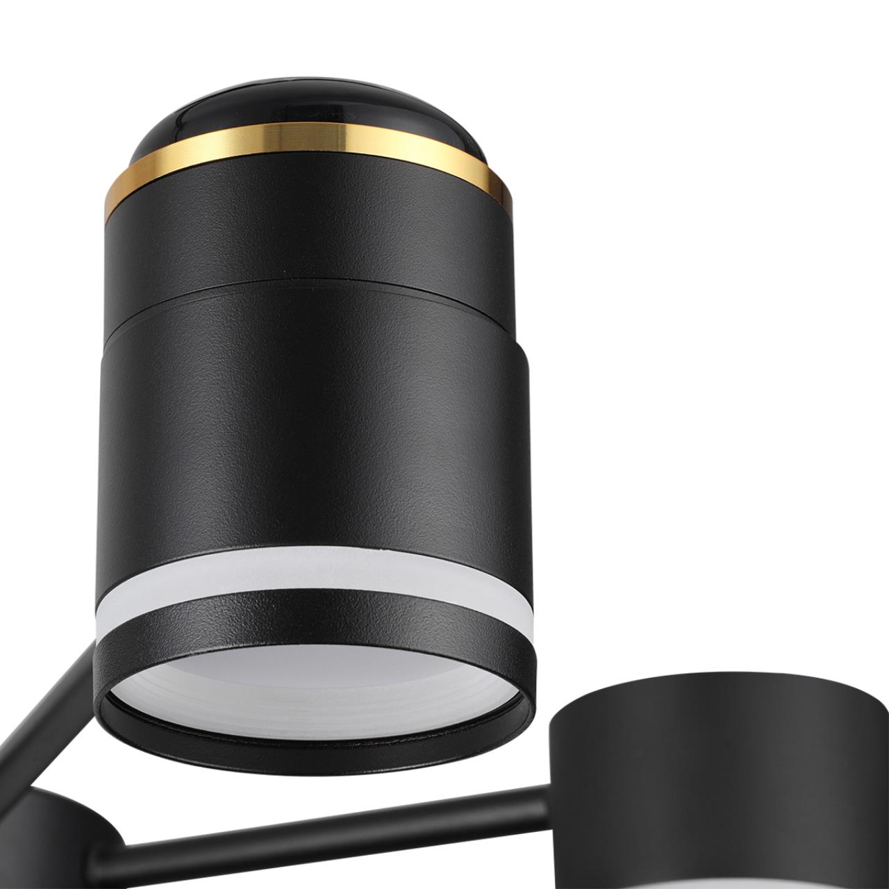 Люстра потолочная 56*59*31/51 см, 6*GX53*10W+3*LED*5W 2700K Lumion Virsava 8234/6C черный