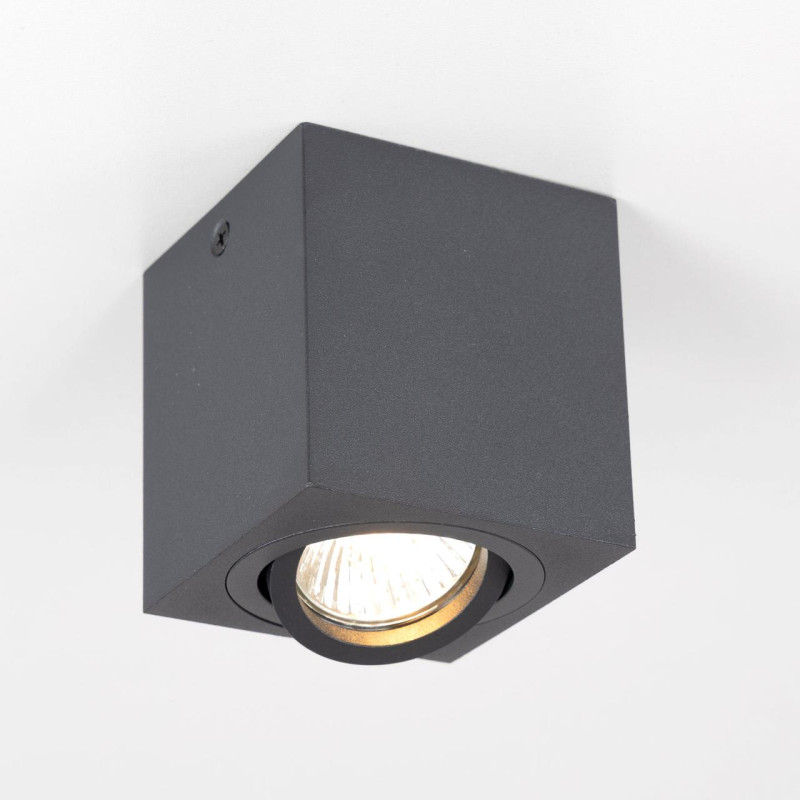 Светильник Черный Citilux Дюрен CL538213