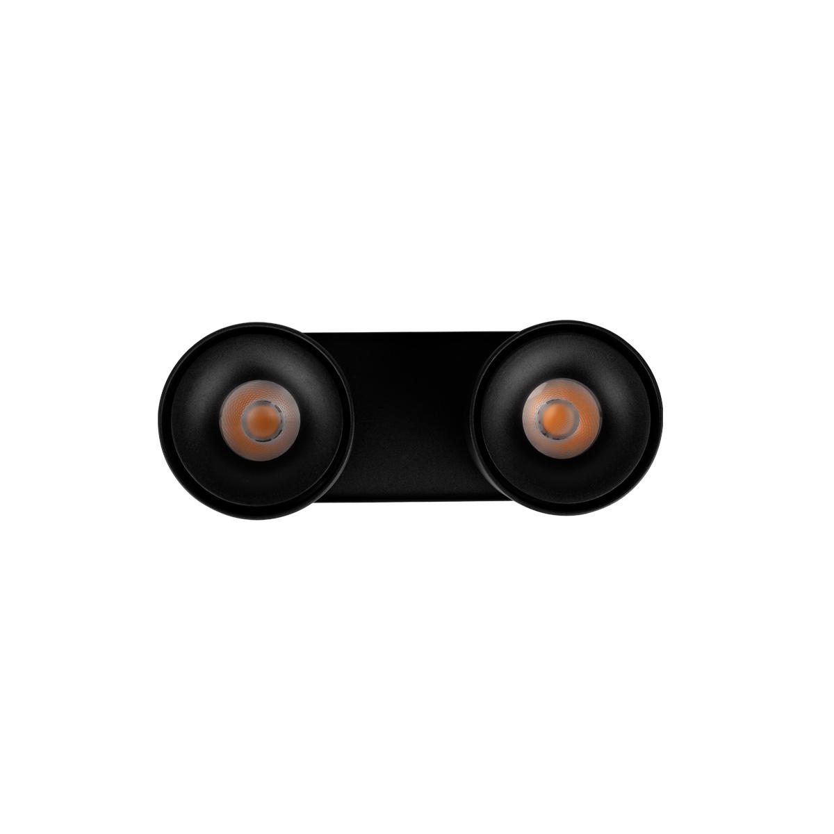 Накладной светильник 18,5*7,5*9 см, 2*LED*12W 4000K LOFT IT Focus 10323/2A Black черный