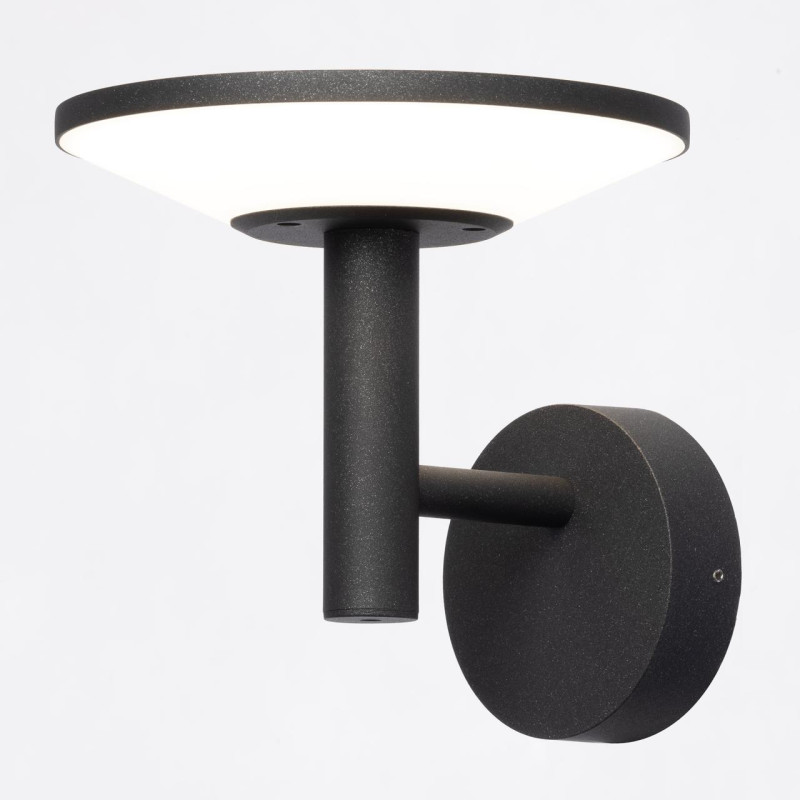 Светильник 20 см, 15W, 4000K, Citilux Dorn CLU05W LED, графит