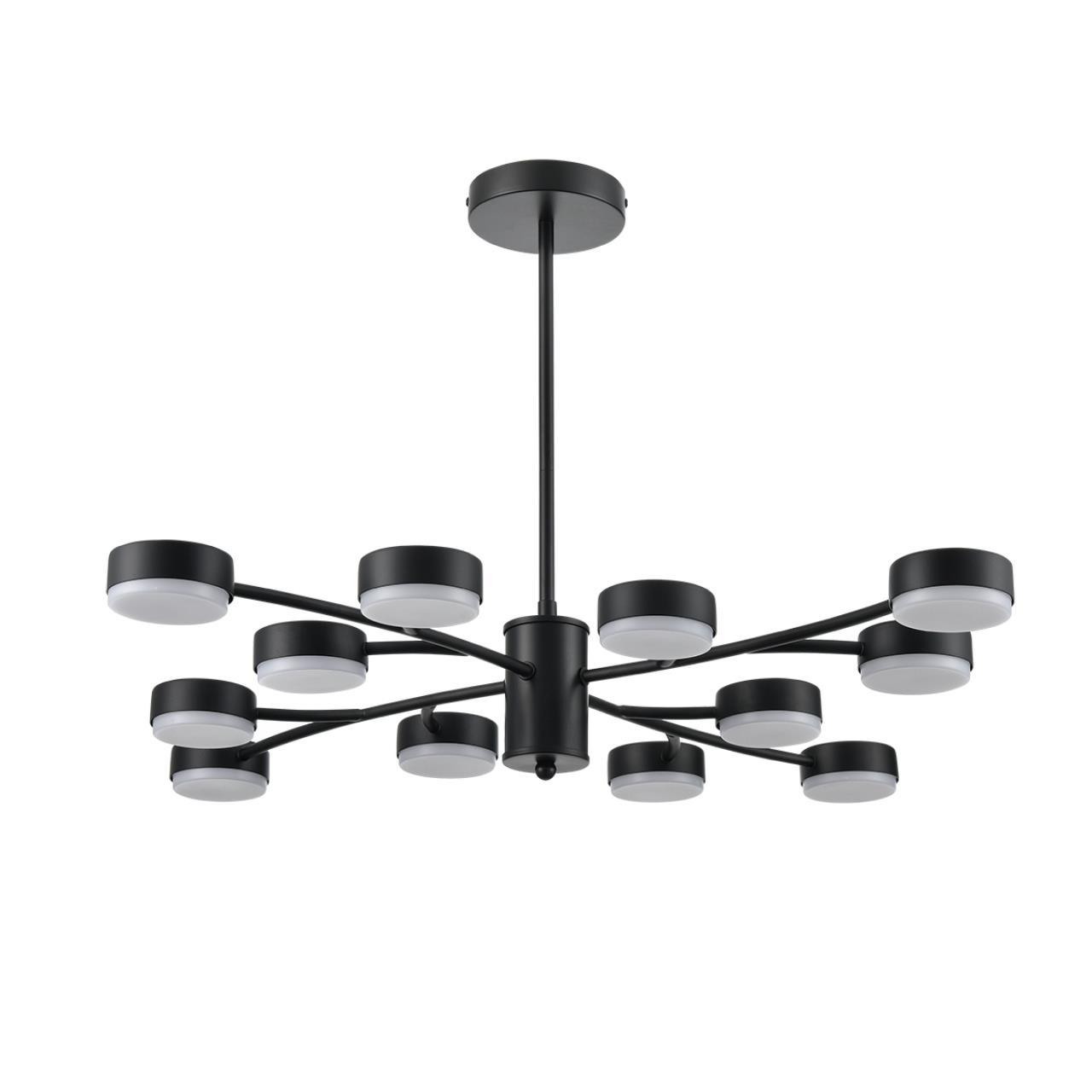 Люстра 80*45 см, 12*GX53 Lumion Torina 8117/12 черный