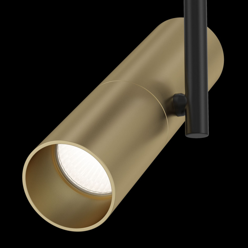 Трековые светильники Maytoni Track lamps TR005-1-GU10-BG, черный-золото