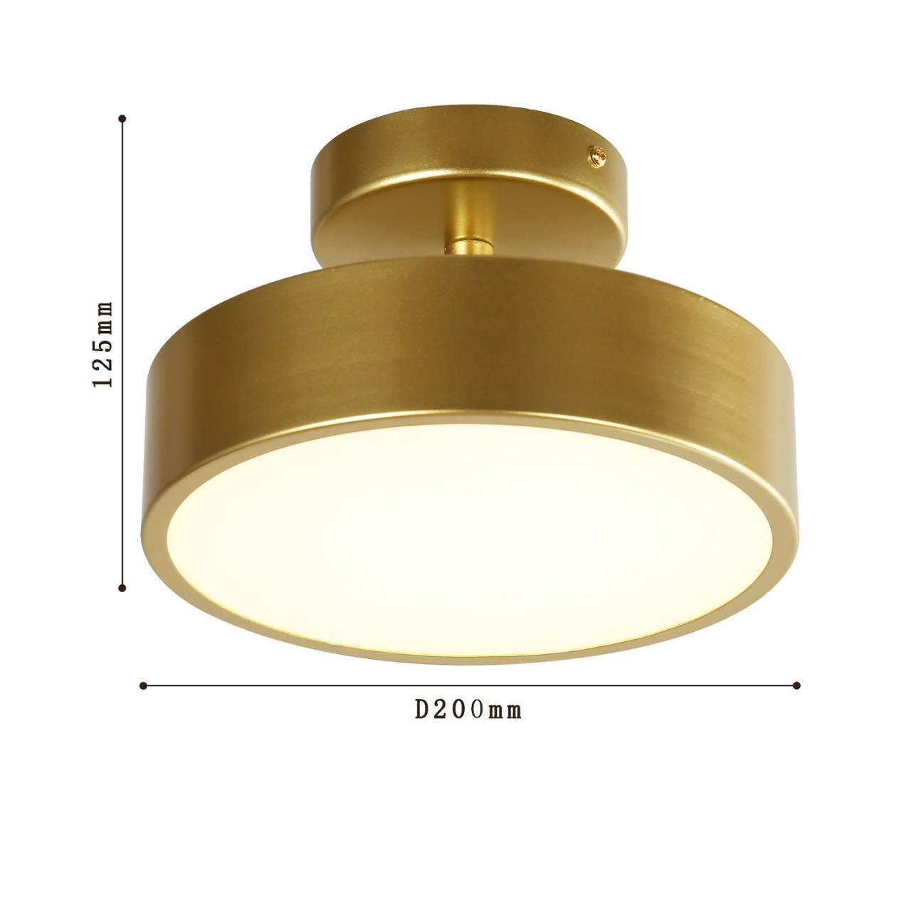 Потолочный светильник F-Promo Atma 3059-2P, D200*H125, накладной светильник, золота, рассеиватель из белого акрила, угол поворота до 45°