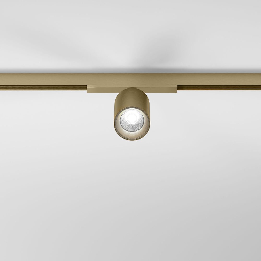 Brass Line Трековый светильник 10W 4000K латунь 85525/01 Elektrostandard Line Magnetic 4690389218729, a071846