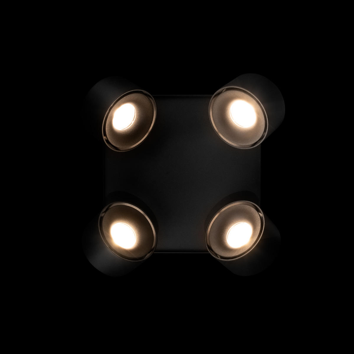 Накладной светильник 19*19*9 см, 4*LED*12W 4000K LOFT IT Case 10326 Black черный