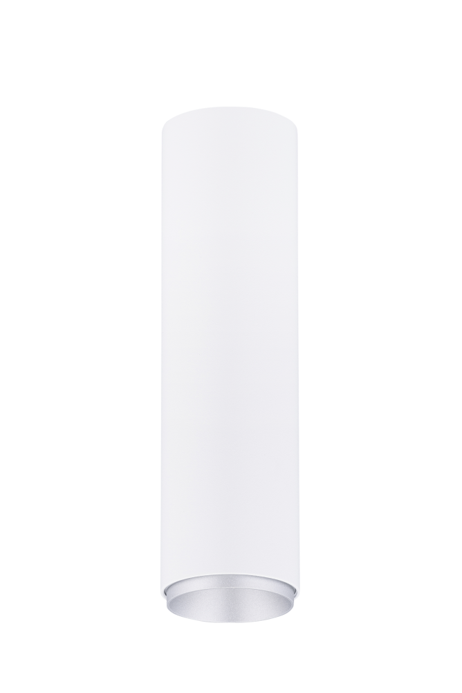 Светильник Ø55 x H200, мм, , SWT+SSV(Белый + Матовый хром) Rilon 1417B SWT+SSV