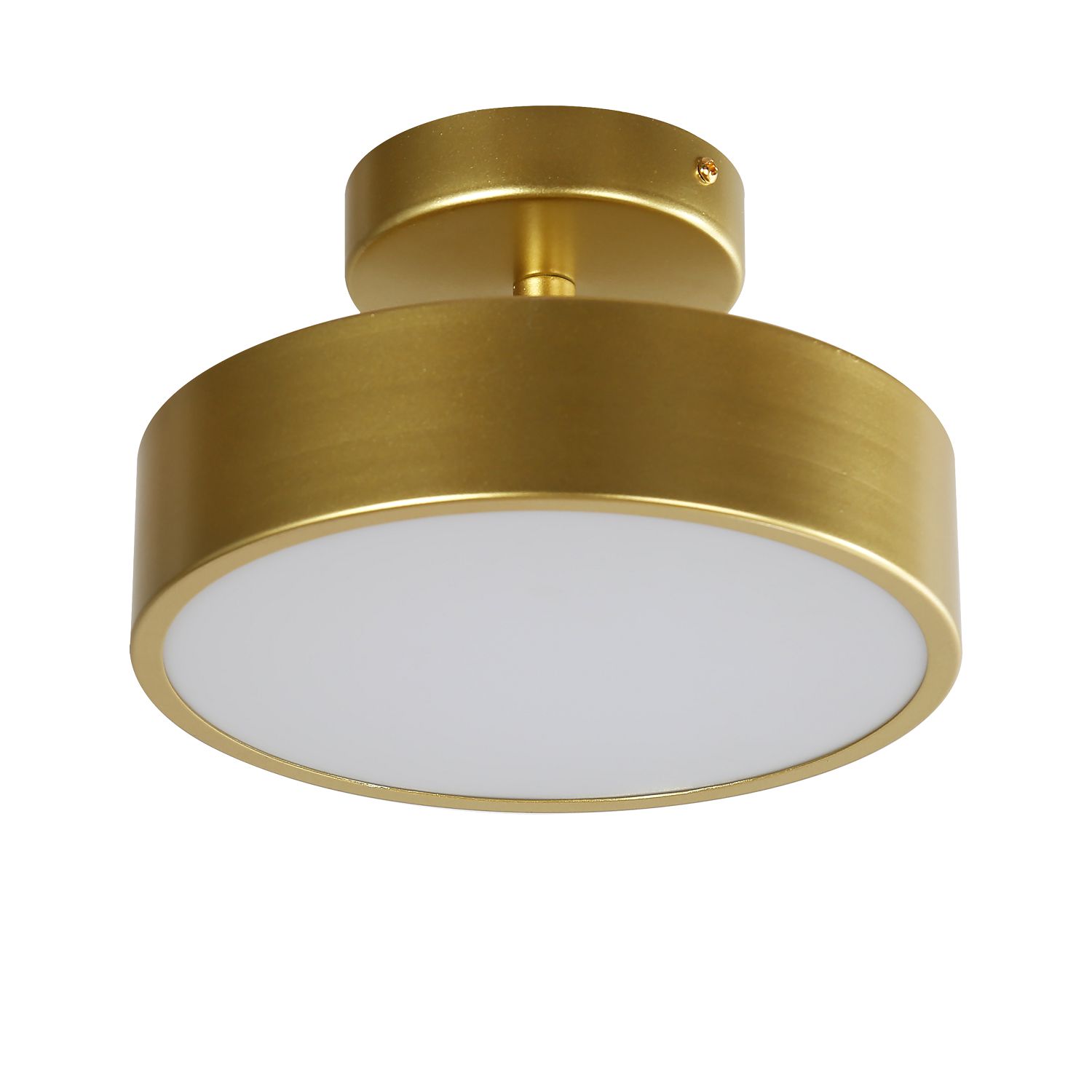 Потолочный светильник F-Promo Atma 3059-2P, D200*H125, накладной светильник, золота, рассеиватель из белого акрила, угол поворота до 45°