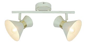 Спот Arte Lamp Baltimore A1406AP-2WG, бело-золотой
