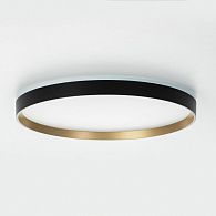 Светильник с пультом 40 см, 40W, 3000-5500K Чёрный+Золото Citilux ETALON CL750401R LED RGB