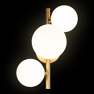 Бра 30 см, Loft It Tely 10236/3W, золото