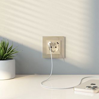 W0011111 Рамка на 1 пост Favorit, шампань,стекло Werkel, 4690389159497