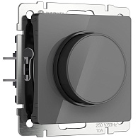 W1142044 Диммер, графит акрил Werkel, 4690389197499