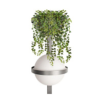 Бра 63 см, 24W, 3000K, Loft It Jardin 10121W/B Dark grey, черный-антрацит