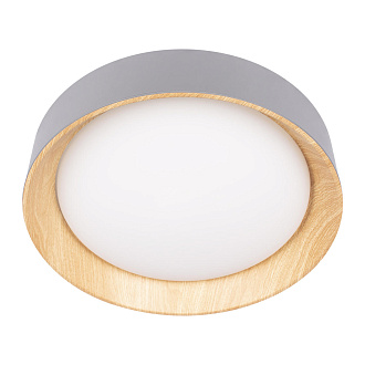 Потолочный светильник 45*10 см, 1*LED*36W 4000K серый, дерево LOFT IT Coin 10202 Grey