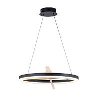 Подвесная люстра 50*25-130 см, 1*LED, 25W, 4000K, F-Promo Bardy 4654-1P, черный