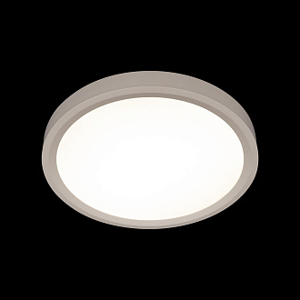 Потолочный светильник 30*3 см, 1*LED*24W 4000K белый LOFT IT Extraslim 10227/24 White