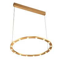 Люстра 60,8*60,8*180 см, 1*LED*25W, 3000K Gerhort G51229/1GD, Матовое золото