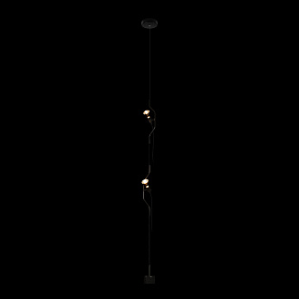 Подвесной светильник 11*400 см, 2*E27*40W LOFT IT Parentesi 10346/2 Black черный