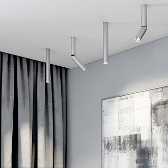 Накладной светодиодный светильник Pika 25029/LED 6W 4200K серебро Elektrostandard