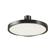 Трековый светильник Plato Flarity 4000K 10Вт 120°, 5,4 см, LED*10W, Maytoni TR153-1-10W4K-B, Черный