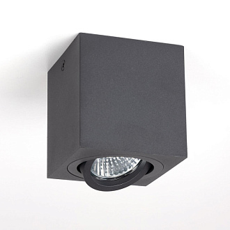Светильник Черный Citilux Дюрен CL538213