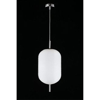 Подвесной светильник 22*60-170 см, 1*E27, 40W, Aployt MATTIA APL.316.26.01, хром