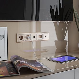 Розетка с заземлением (шампань рифленый) W1171010 Werkel 4690389160325