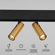 Трековый светильник LED 14W, 2700~6500 К, 15,8*18,4*3,5 см, латунь, Elektrostandard Slim Magnetic 85056/01
