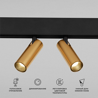 Трековый светильник LED 14W, 2700~6500 К, 15,8*18,4*3,5 см, латунь, Elektrostandard Slim Magnetic 85056/01