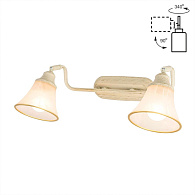 Спот Citilux Прованс CL511524