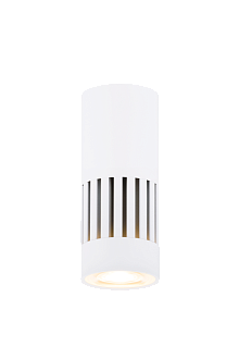 Светильник Ø53 x H133, мм, 1*10W, SWT (Белый) Rilon 031 SWT